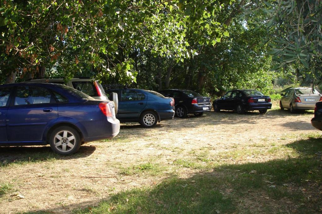 Porto Thassos Apartments & Studios Skála Potamiás Exterior foto